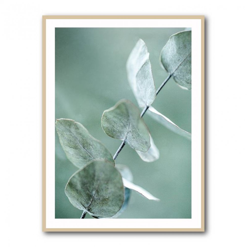 Eucalyptus 9 Wall Art