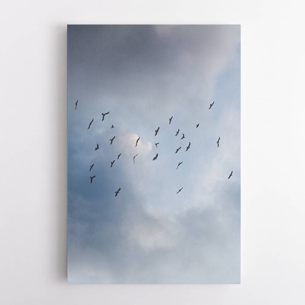 Free As A Bird Wall Art