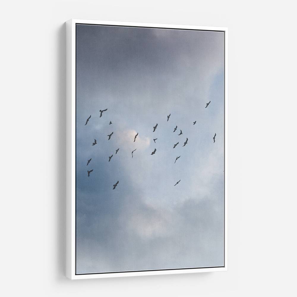 Free As A Bird Wall Art