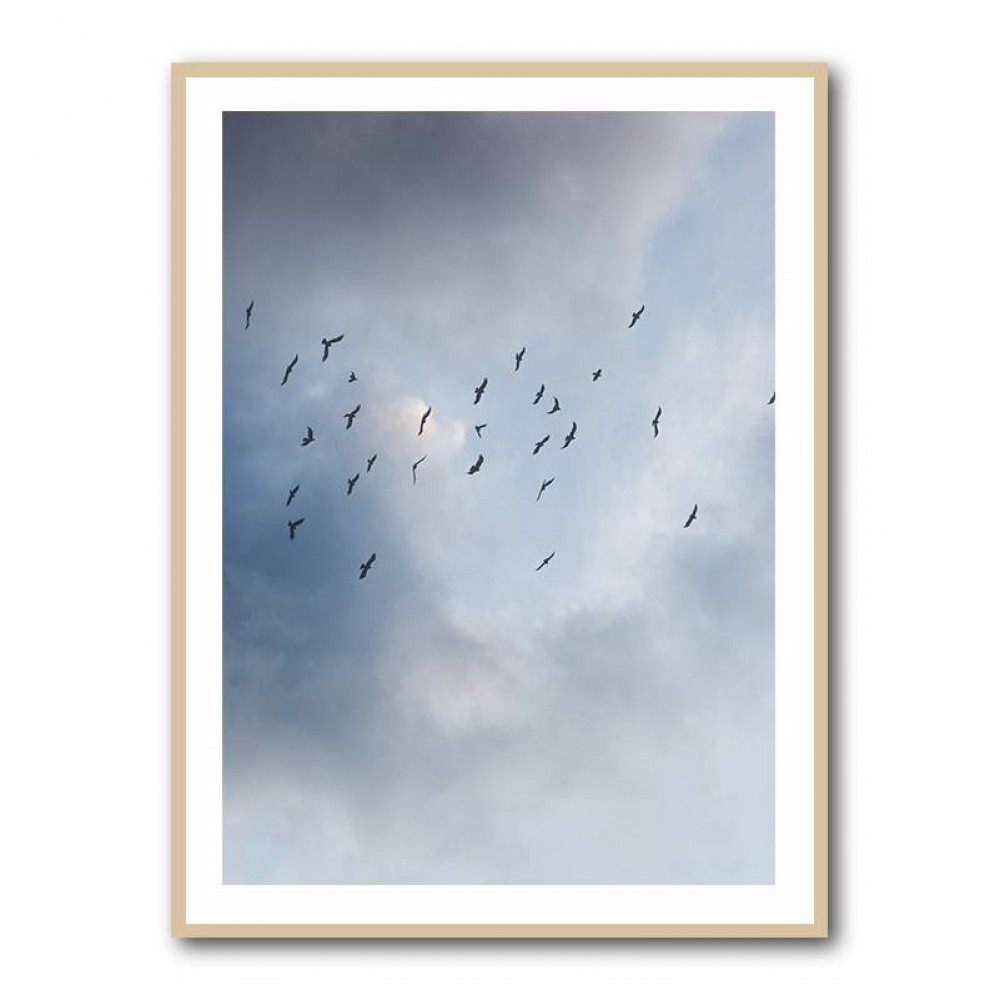 Free As A Bird Wall Art