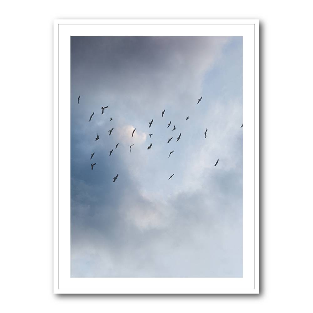 Free As A Bird Wall Art