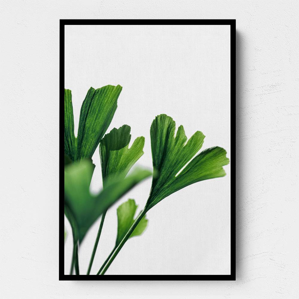 Ginko 4 Wall Art