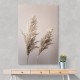 Grass 22X Wall Art