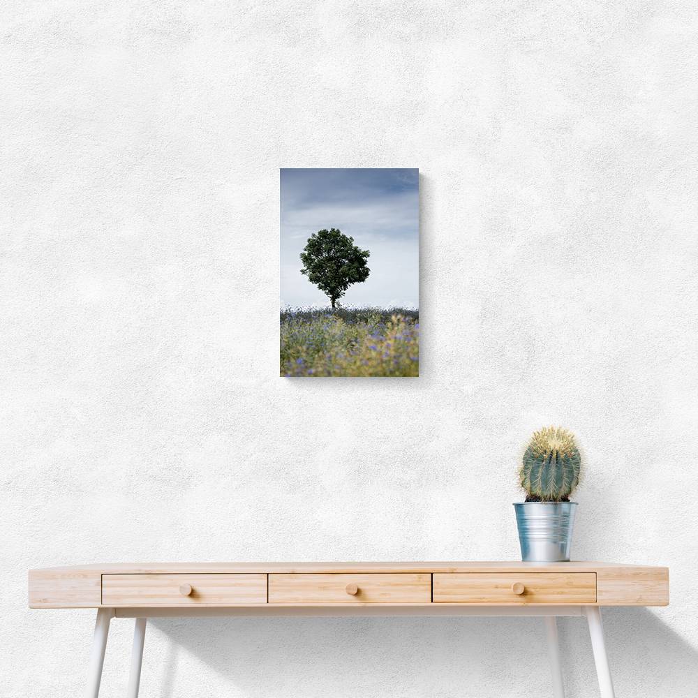 Summer Meadow Wall Art