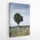 Summer Meadow Wall Art