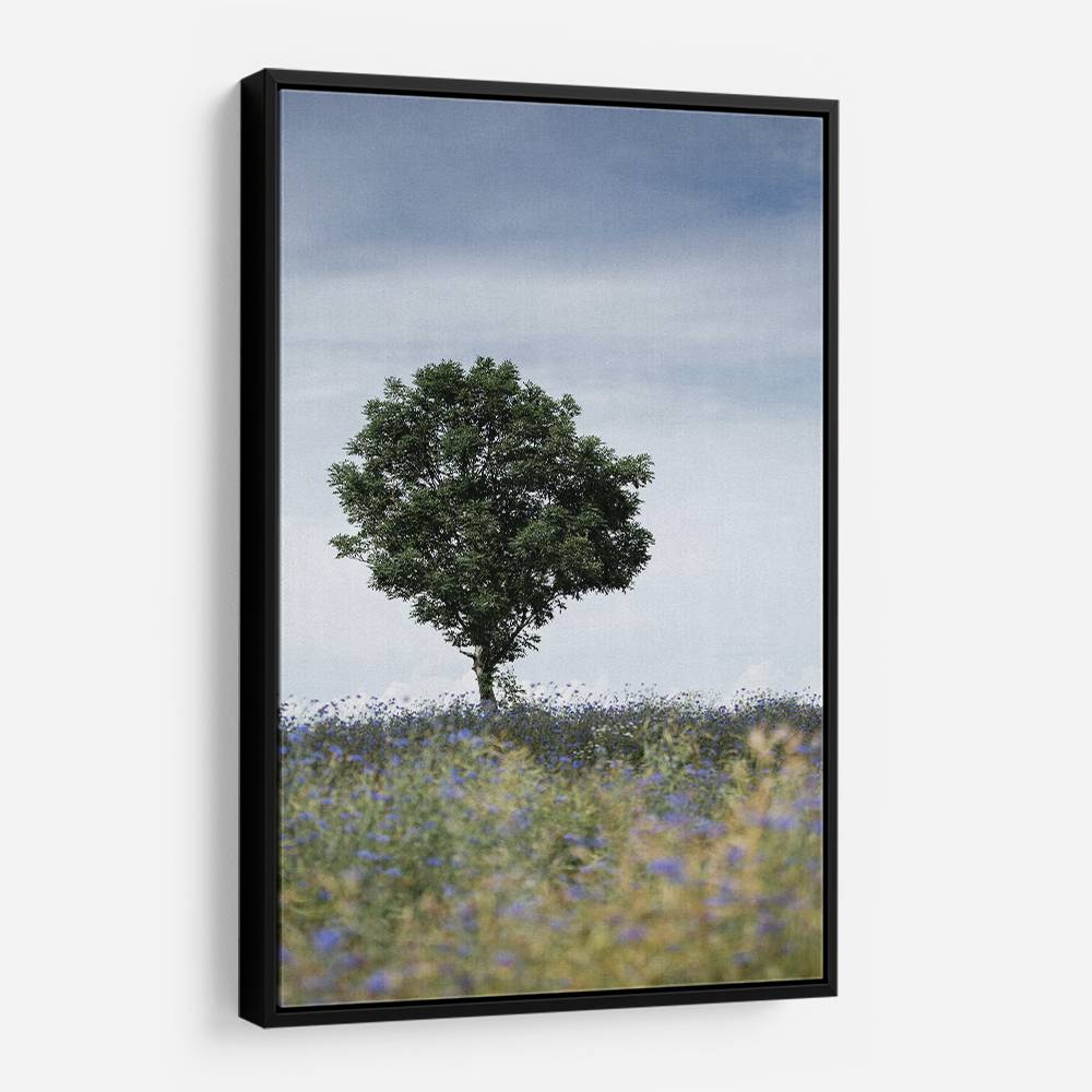 Summer Meadow Wall Art