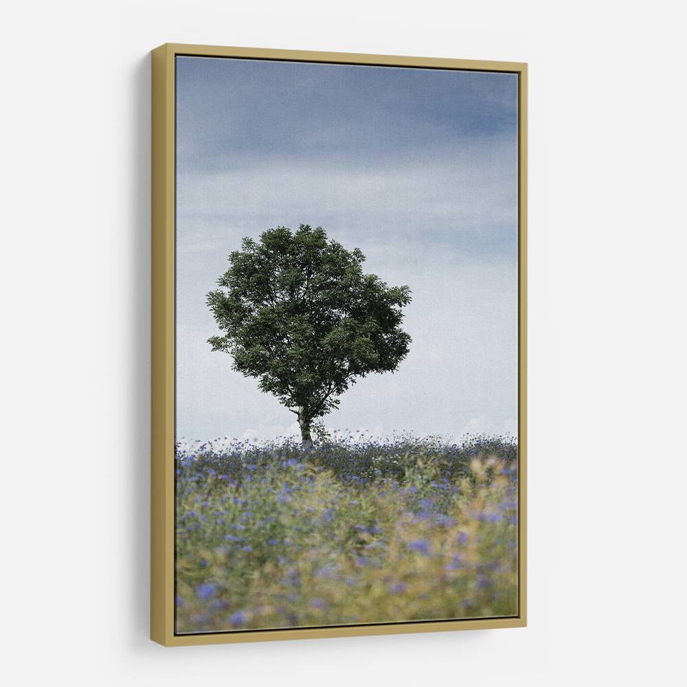 Summer Meadow Wall Art