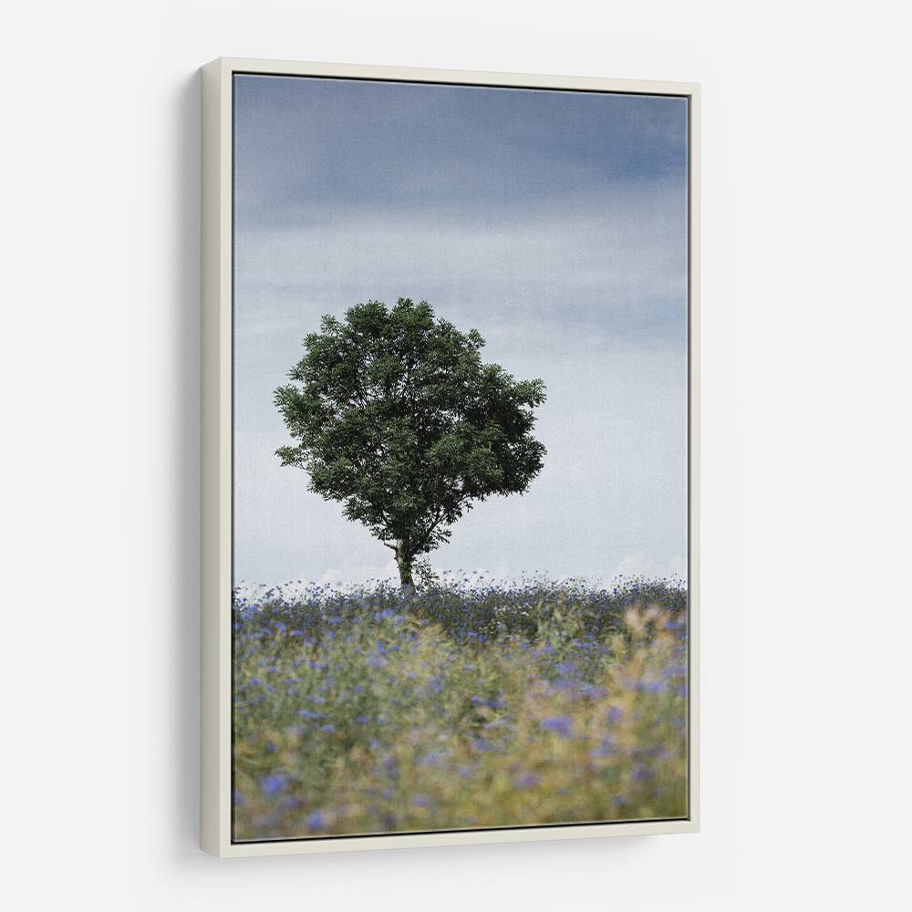 Summer Meadow Wall Art