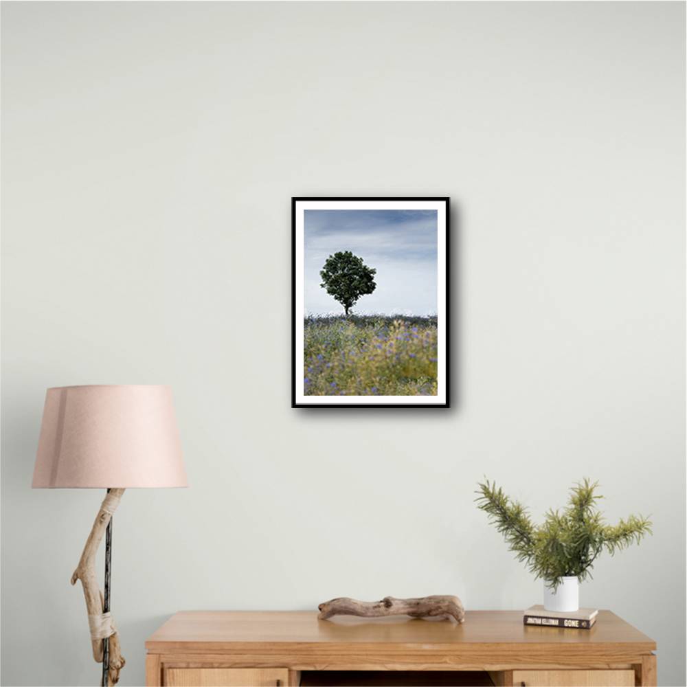 Summer Meadow Wall Art