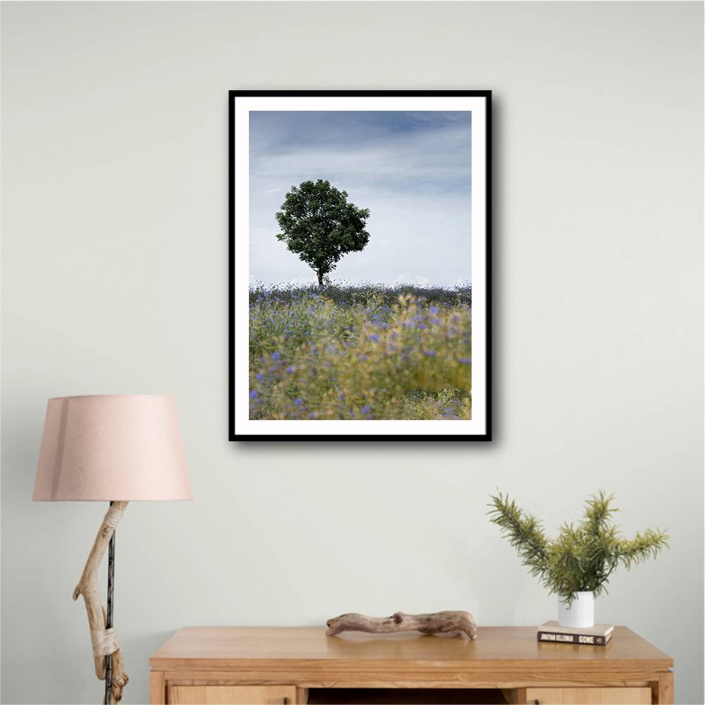 Summer Meadow Wall Art