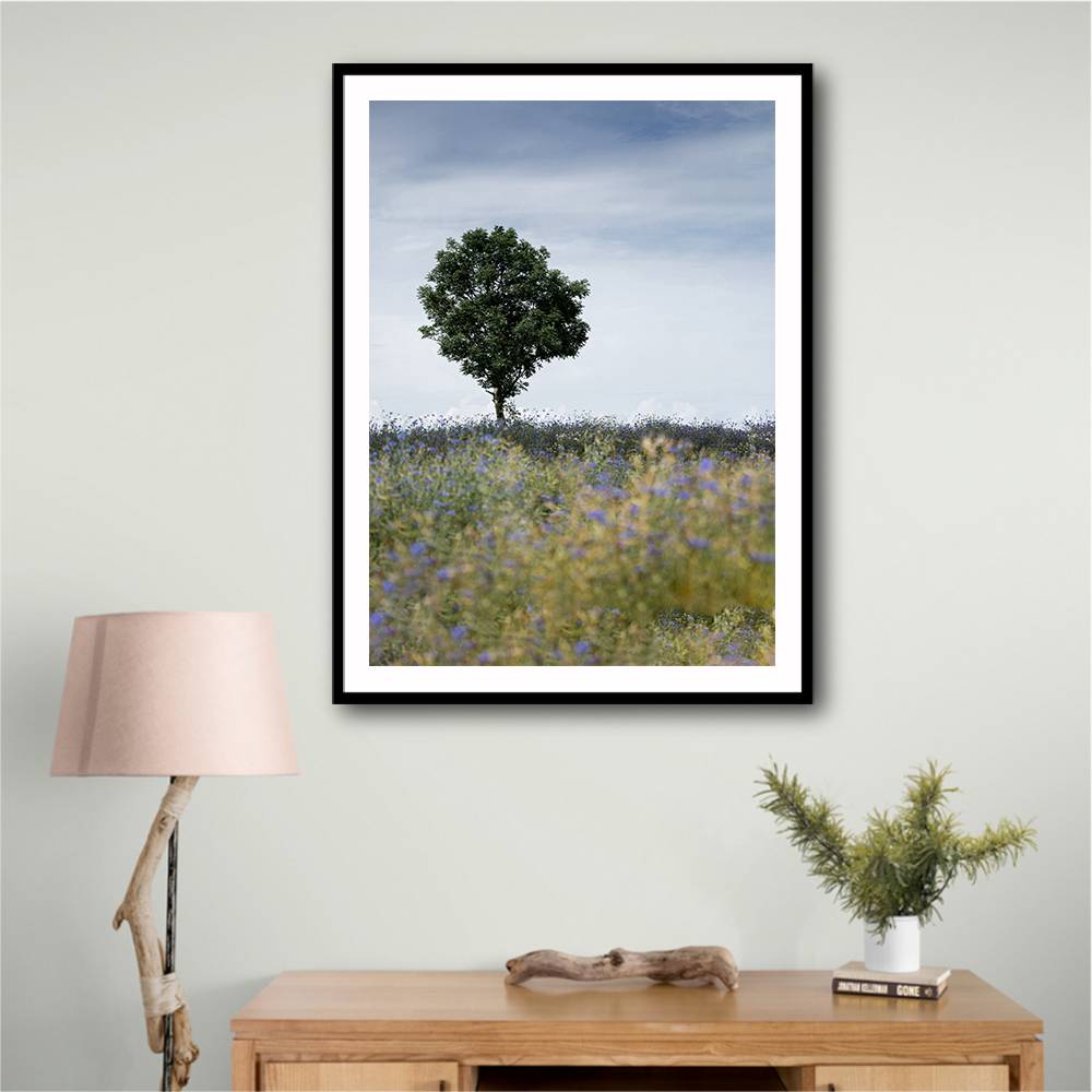 Summer Meadow Wall Art