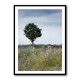 Summer Meadow Wall Art