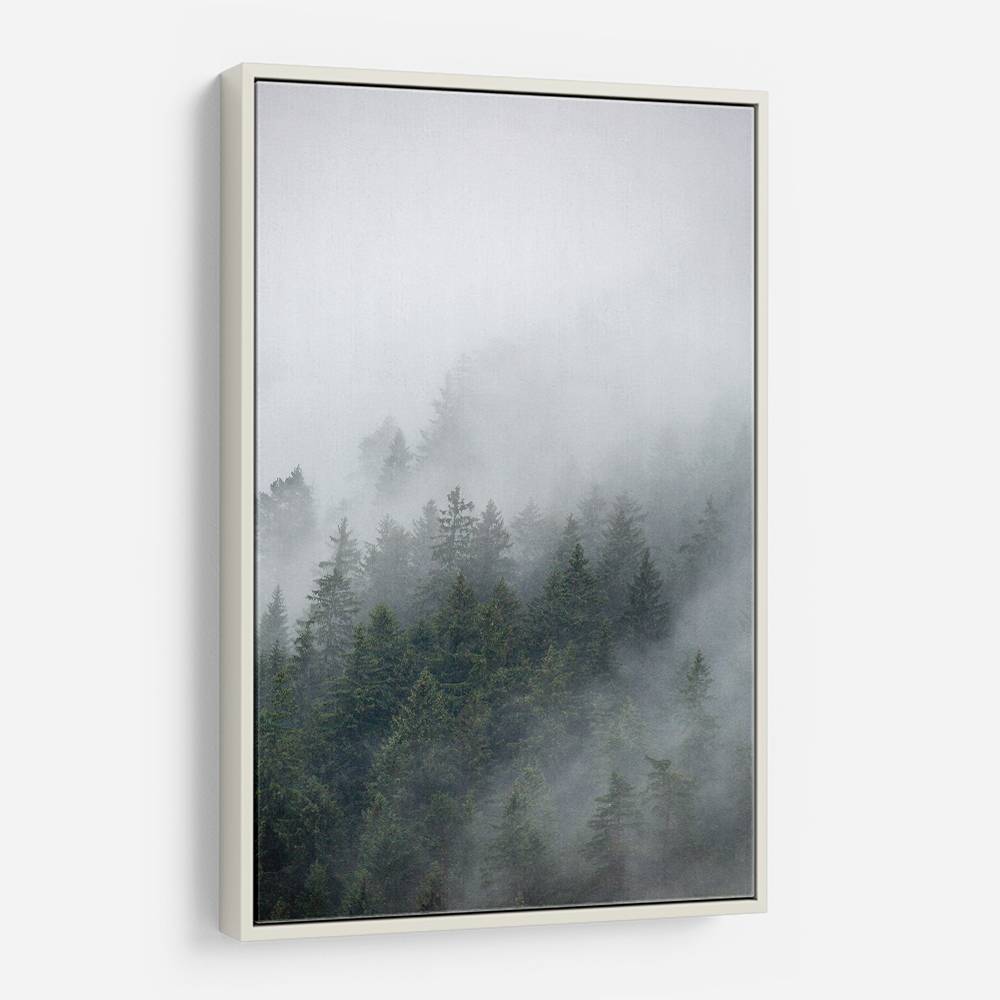 Foggy Morning 2 Wall Art