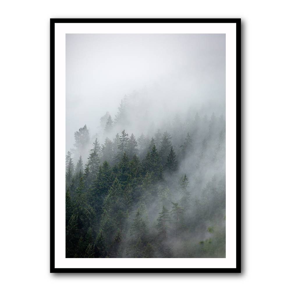 Foggy Morning 2 Wall Art