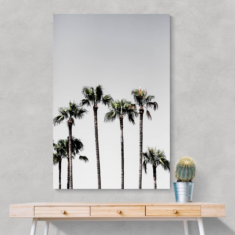 Palm Trees 5 Wall Art