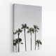 Palm Trees 5 Wall Art