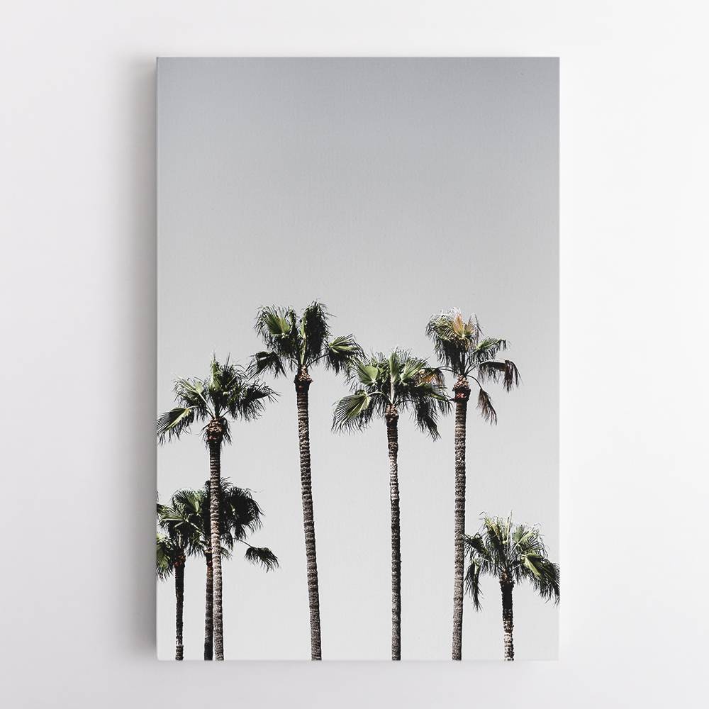 Palm Trees 5 Wall Art