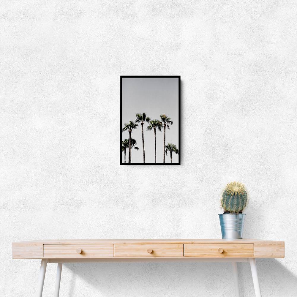 Palm Trees 5 Wall Art