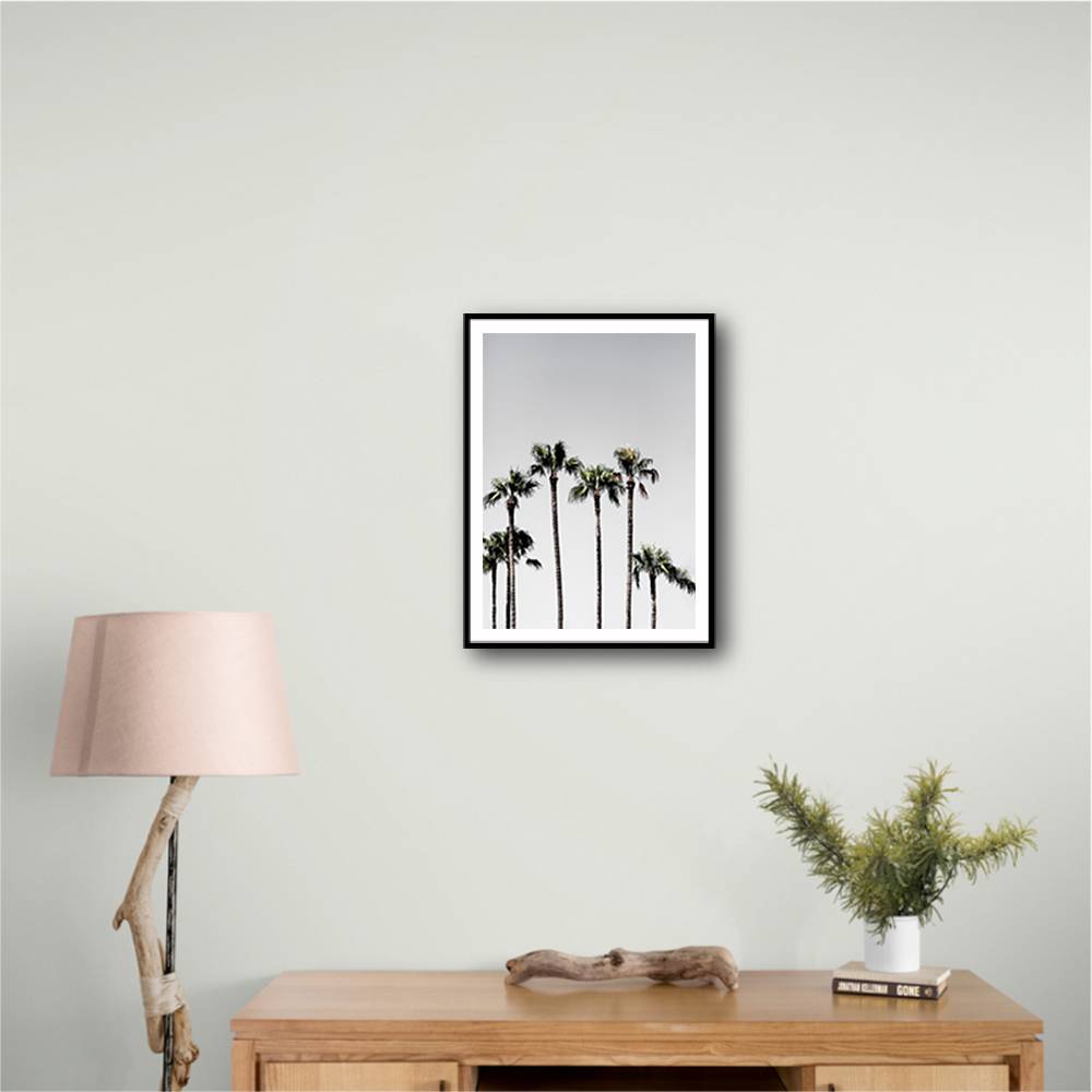 Palm Trees 5 Wall Art