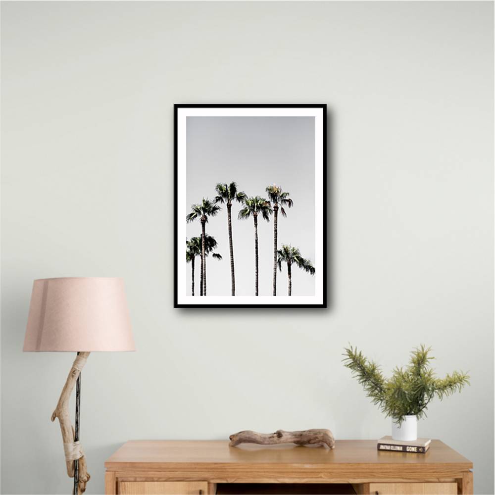 Palm Trees 5 Wall Art