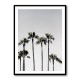 Palm Trees 5 Wall Art