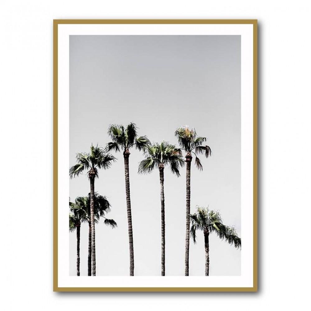 Palm Trees 5 Wall Art