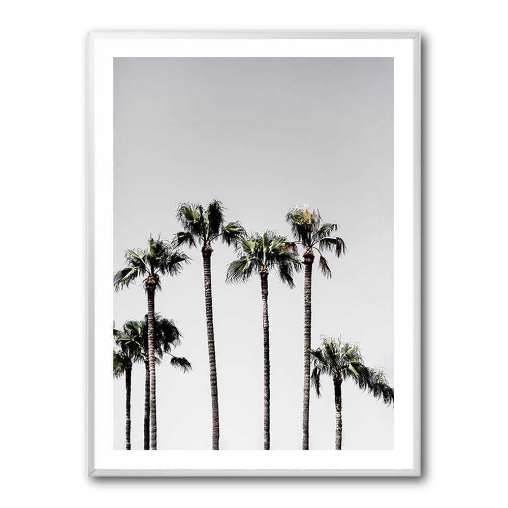 Palm Trees 5 Wall Art