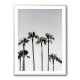 Palm Trees 5 Wall Art