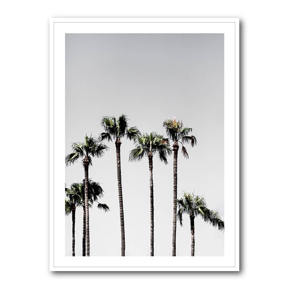 Palm Trees 5 Wall Art