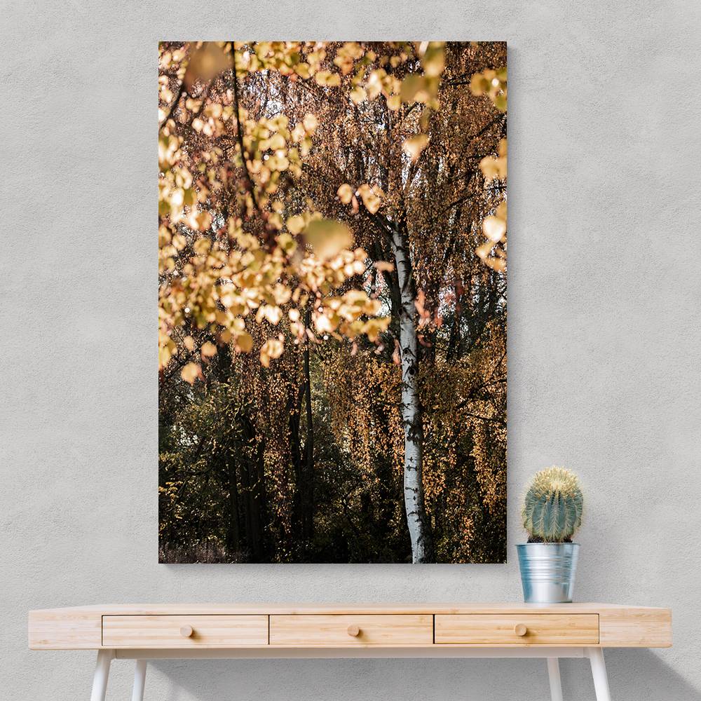 Autumn Birch Tree Wall Art