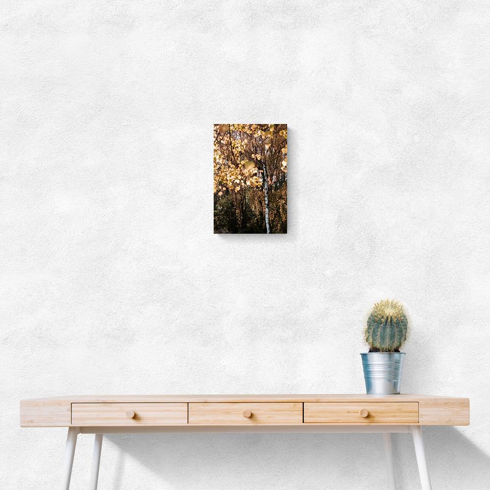 Autumn Birch Tree Wall Art