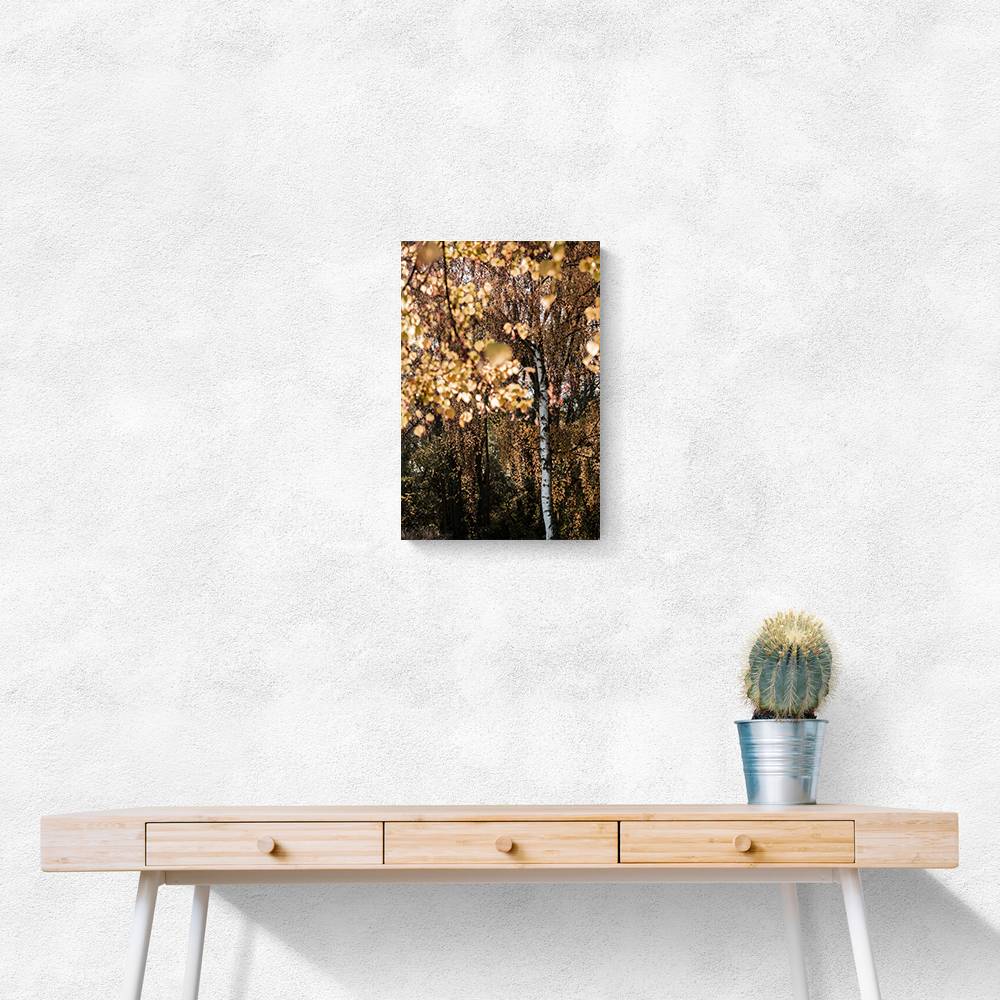 Autumn Birch Tree Wall Art