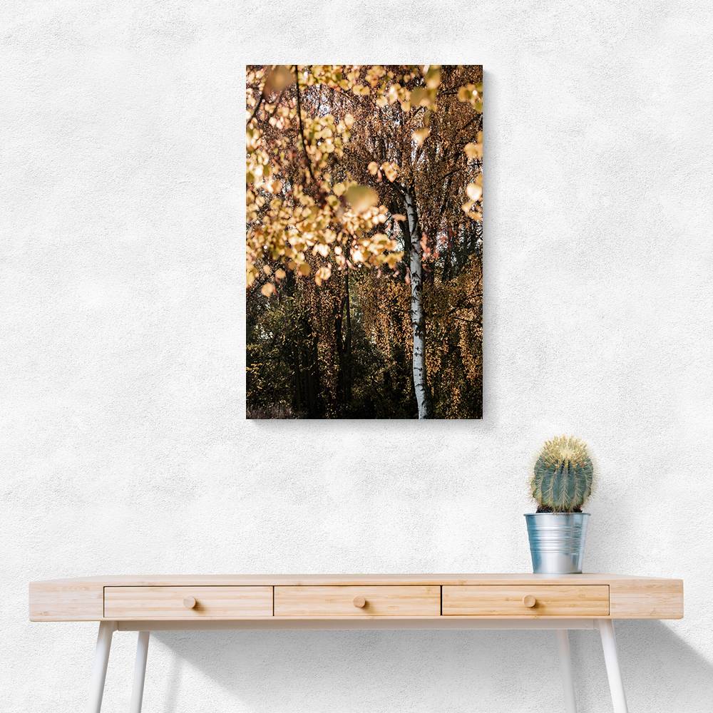 Autumn Birch Tree Wall Art