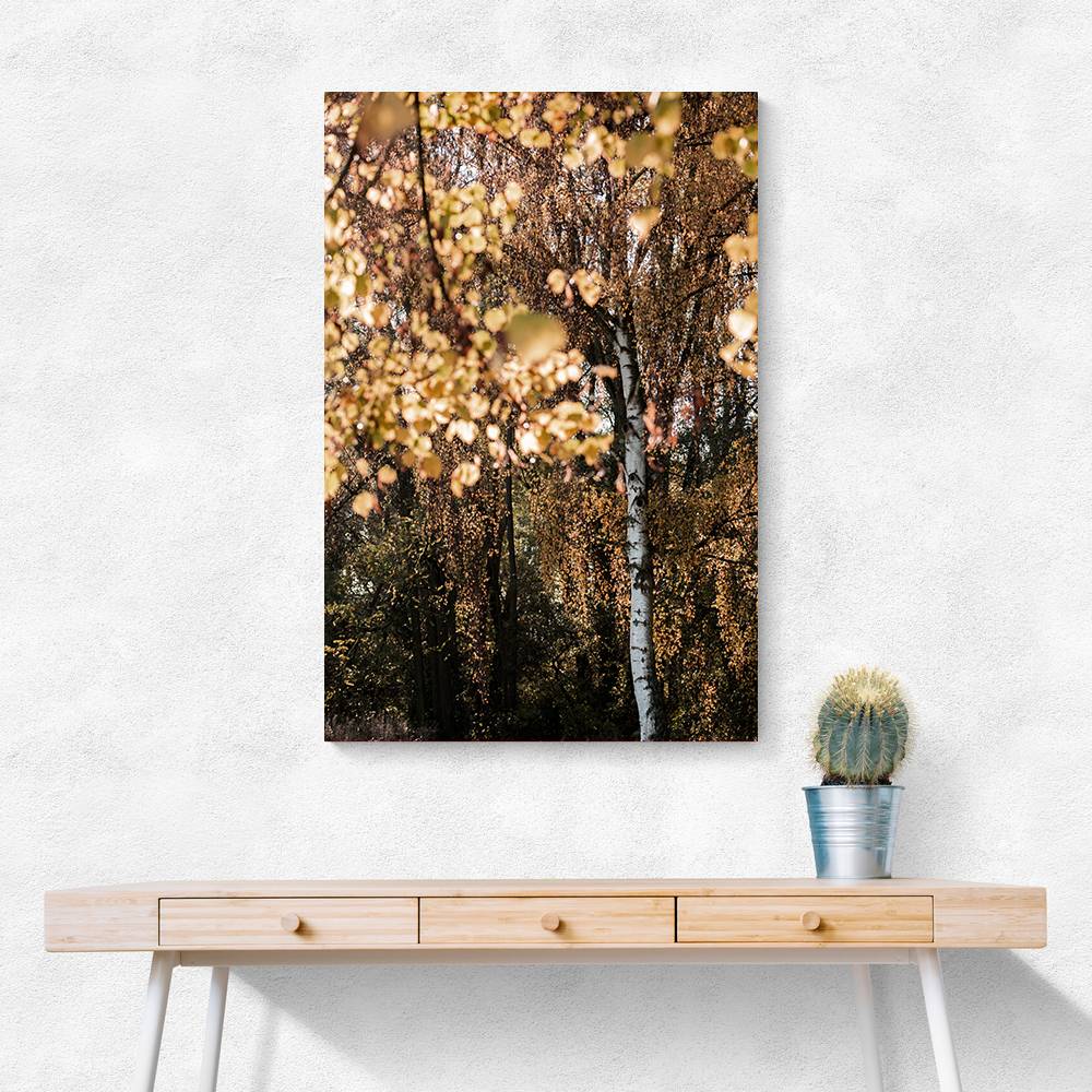 Autumn Birch Tree Wall Art