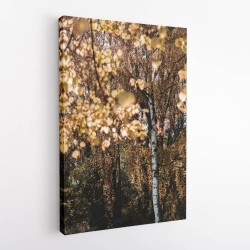 Autumn Birch Tree Wall Art