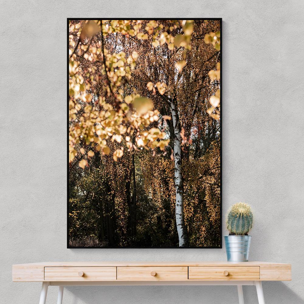 Autumn Birch Tree Wall Art