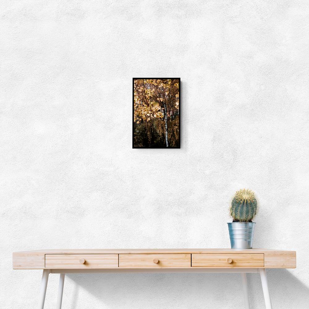 Autumn Birch Tree Wall Art