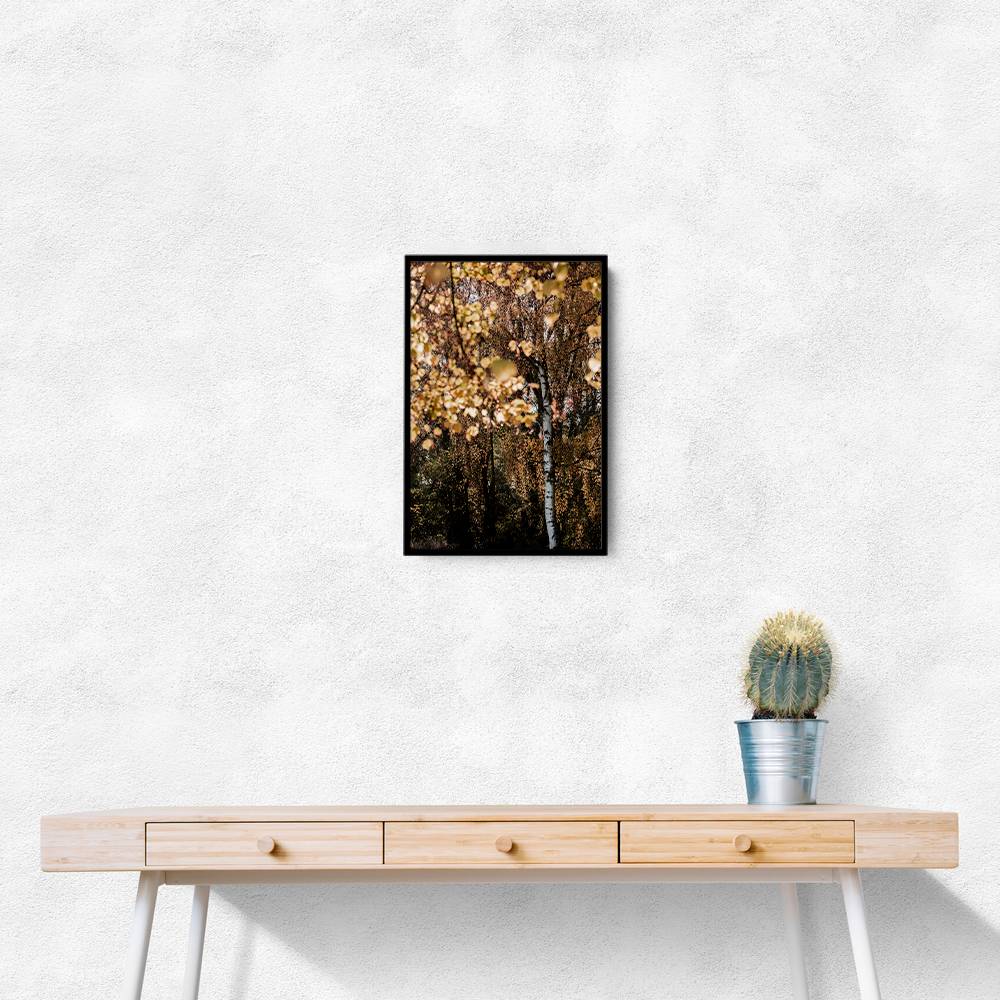 Autumn Birch Tree Wall Art