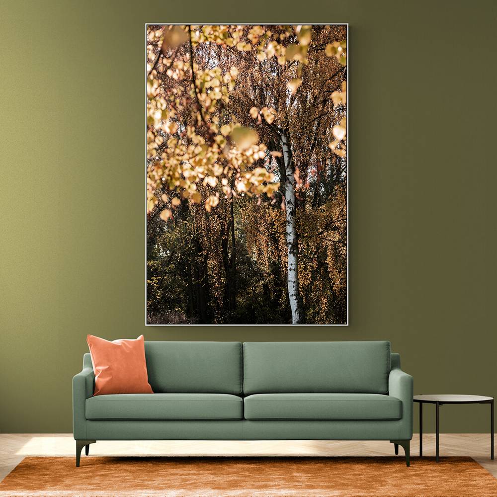 Autumn Birch Tree Wall Art