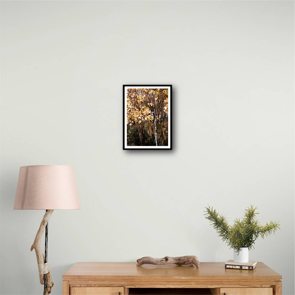 Autumn Birch Tree Wall Art