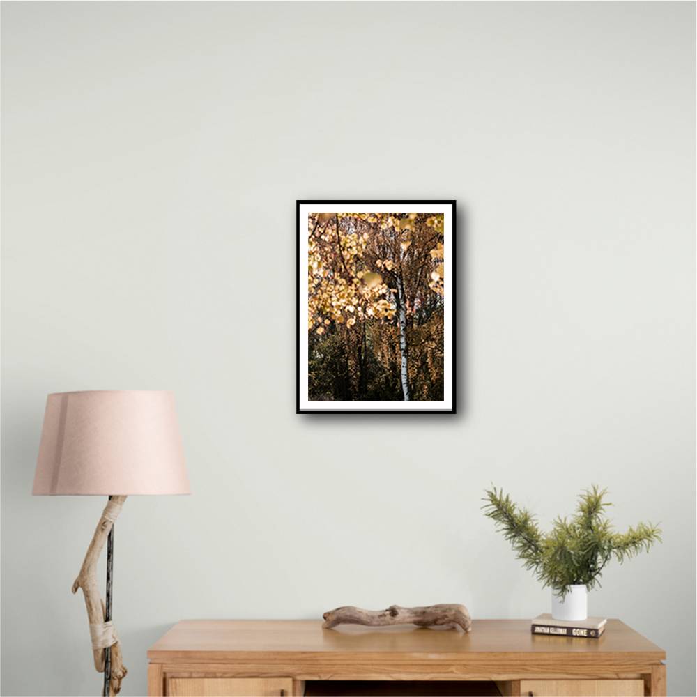 Autumn Birch Tree Wall Art