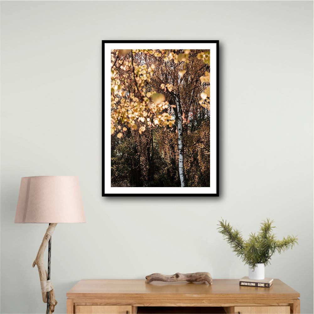 Autumn Birch Tree Wall Art