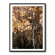 Autumn Birch Tree Wall Art