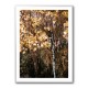 Autumn Birch Tree Wall Art