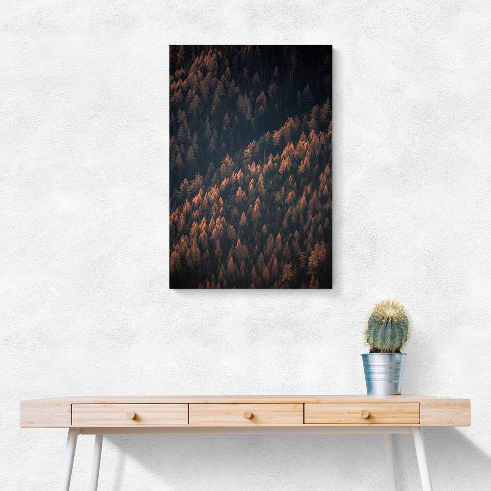 Autumn Woods 2 Wall Art