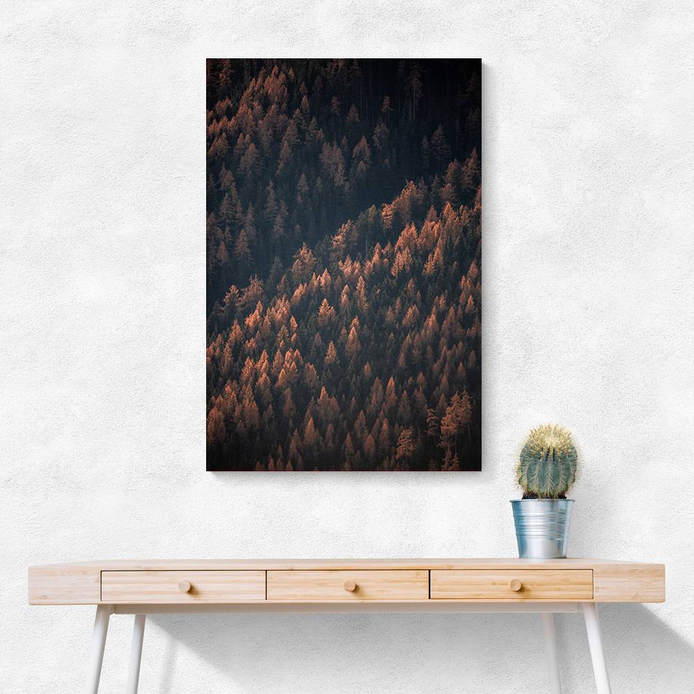 Autumn Woods 2 Wall Art