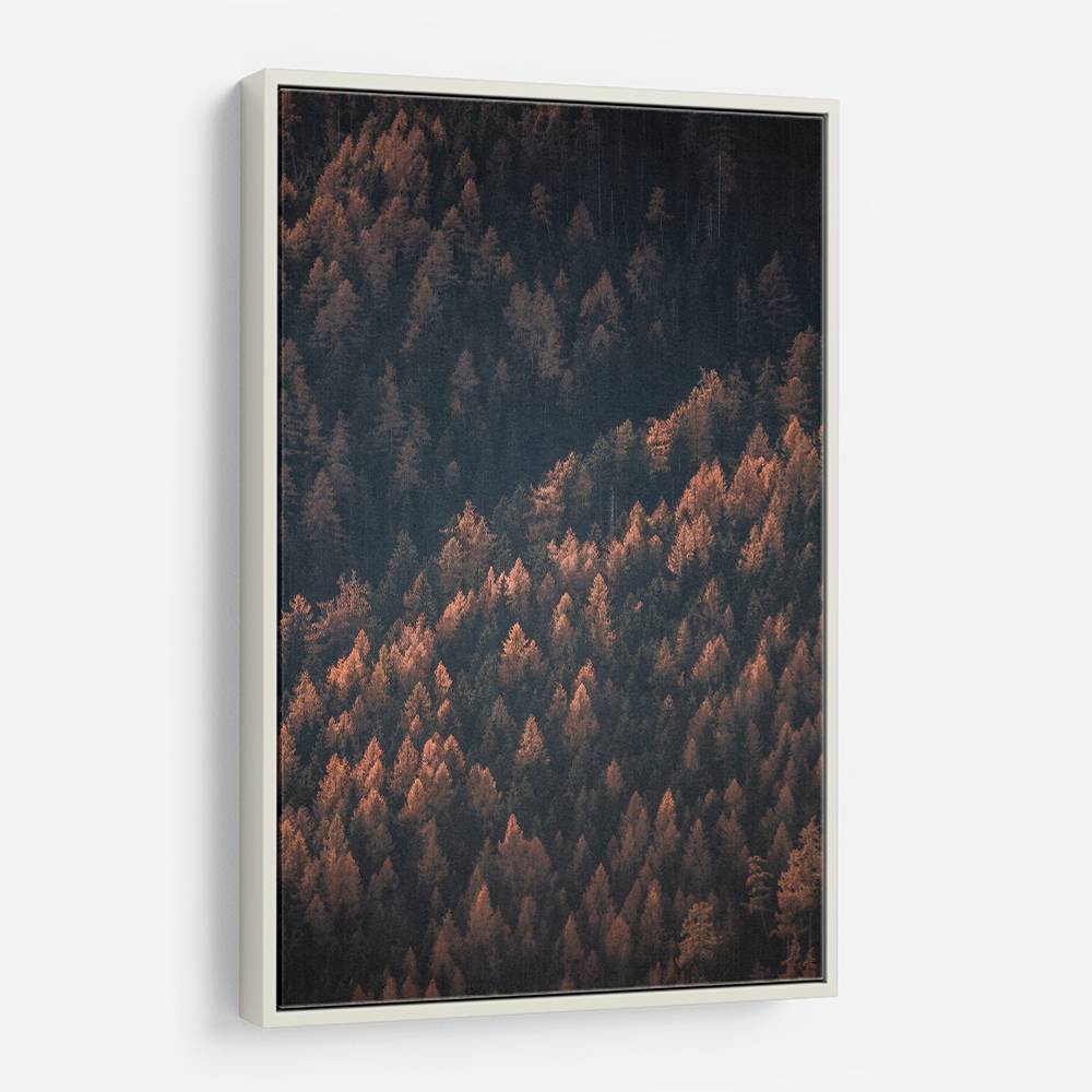 Autumn Woods 2 Wall Art