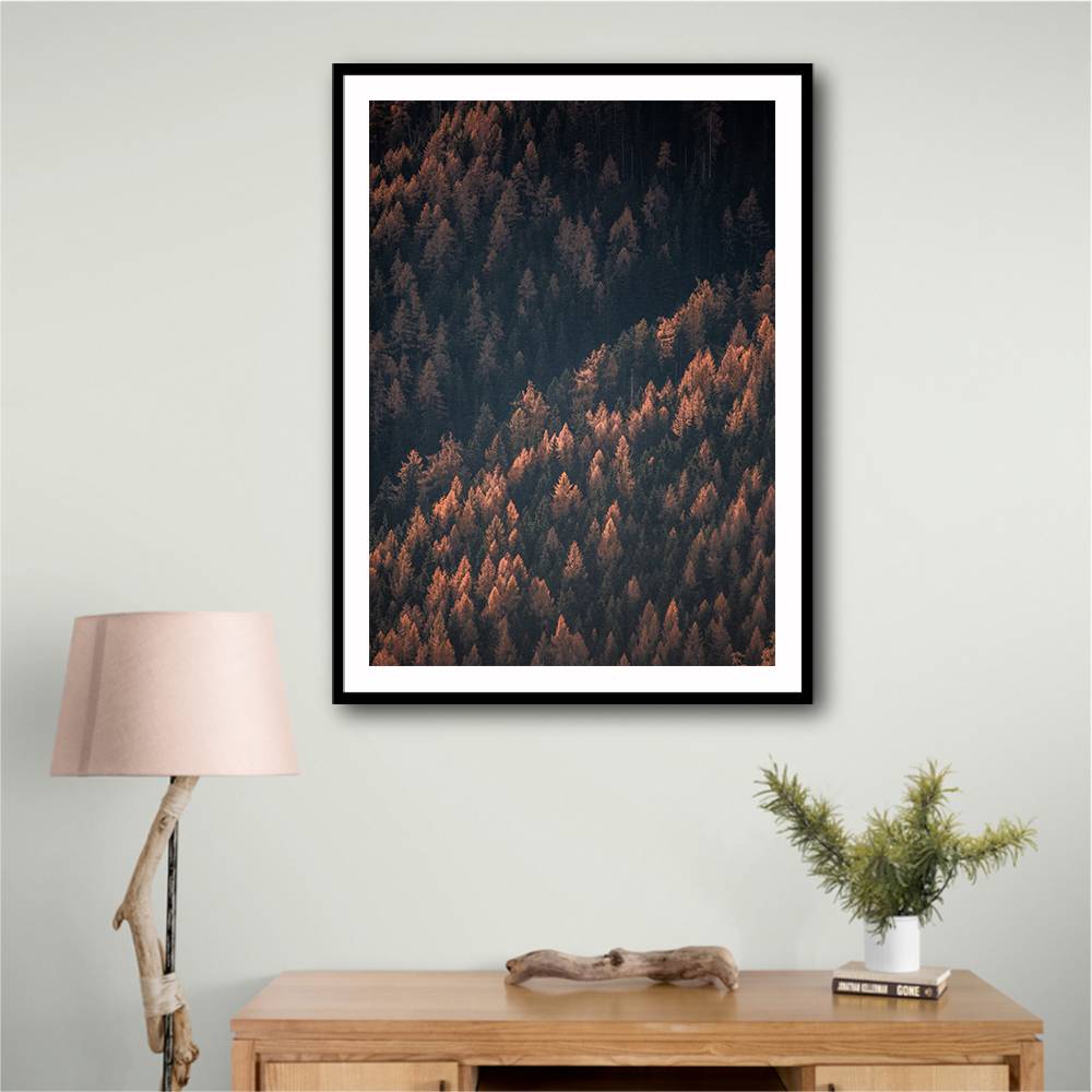 Autumn Woods 2 Wall Art