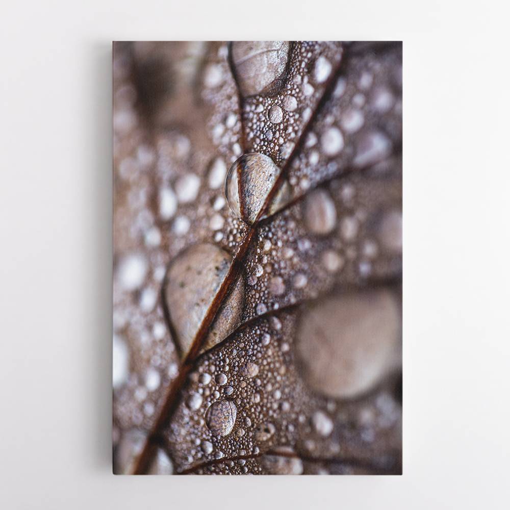 Autumn Rain Wall Art