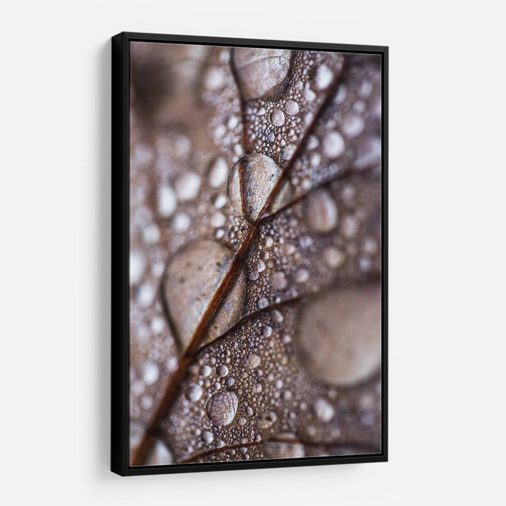 Autumn Rain Wall Art